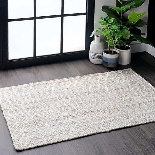3x5 Rigo Jute Hand Woven Area Rug
